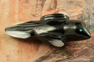 Zuni Bird Fetish created by Zuni Artist Delvin Leekya.  Carved from Genuine Jet and Mother of Pearl with Turquoise eyes.
